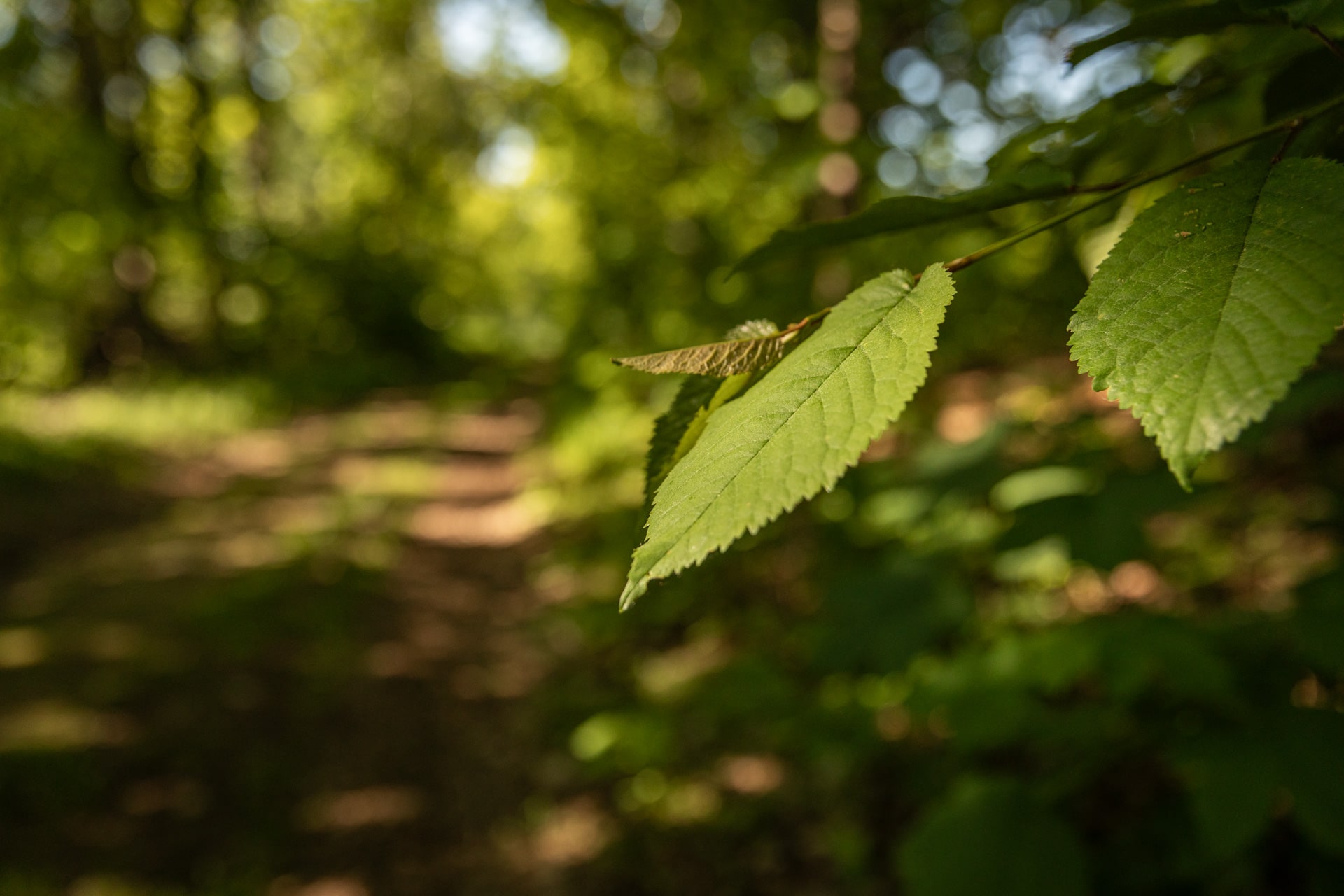 20250514_NW_katrin-cordts_online_17-min