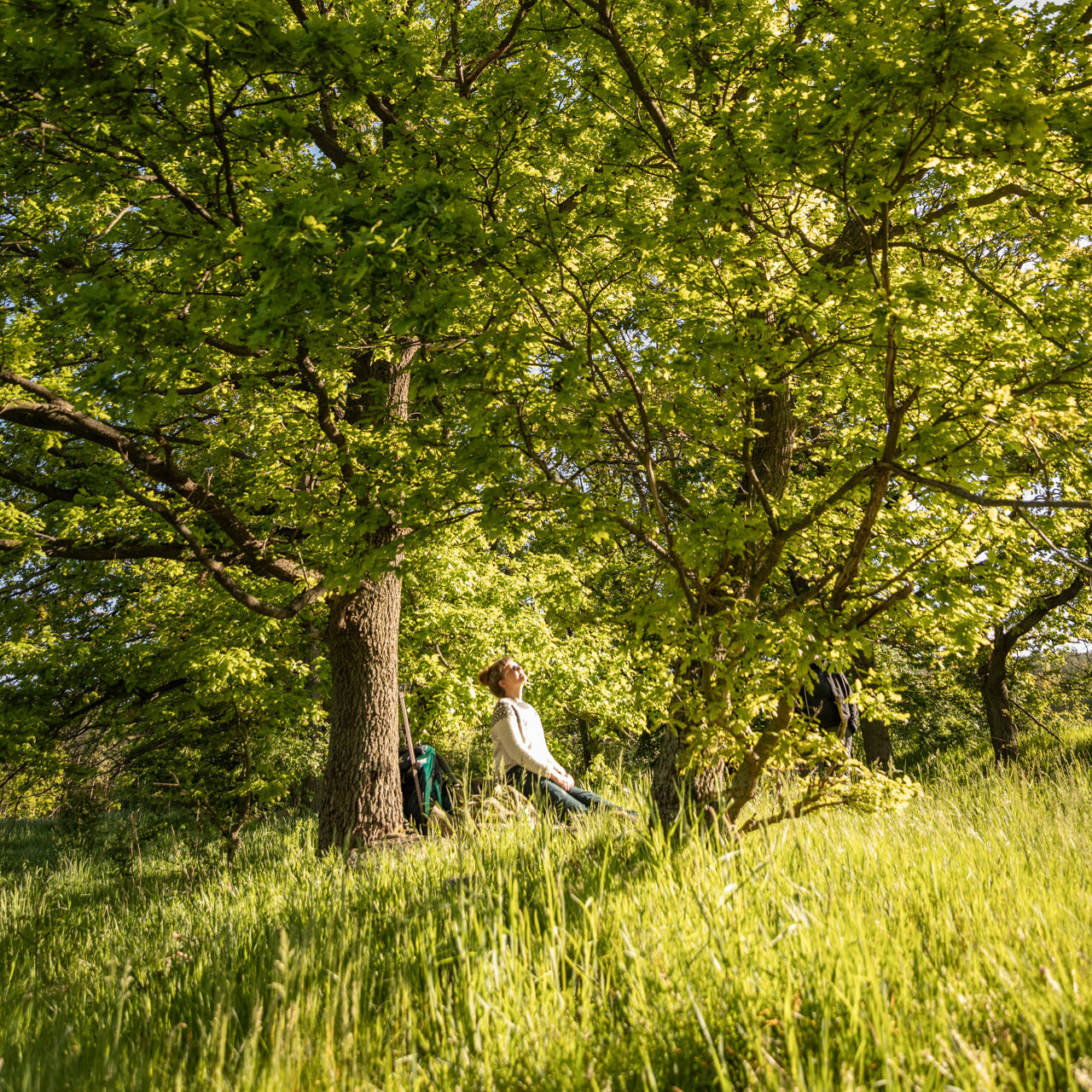 20250514_NW_katrin-cordts_online_22