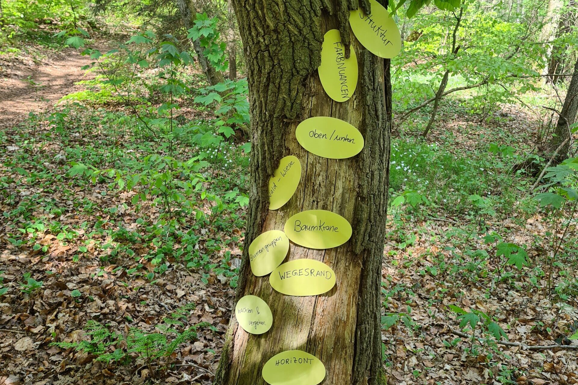 20230510_KC_Baumflipchart