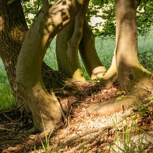 20250514_NW_katrin-cordts_online_51